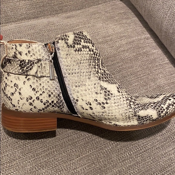 Steven by Steve Madden snake shoes 8 - worn twice - Picture 3 of 8
